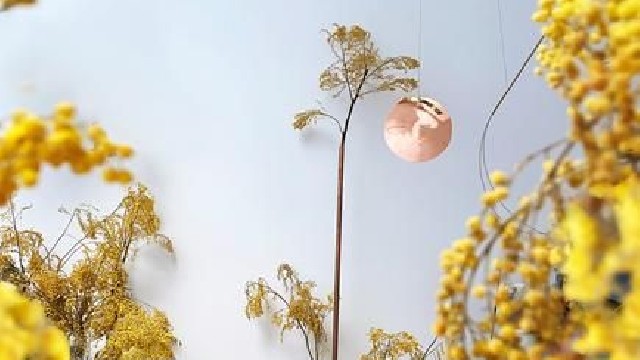 Exposition d’Ambre Cardinal "Offrande d’Azur"_Rayol-Canadel Sur Mer