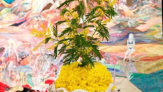 Exposition  « Le paysage de Gloria » Par Vanina Langer et Magali Wehrung_Rayol-Canadel sur Mer