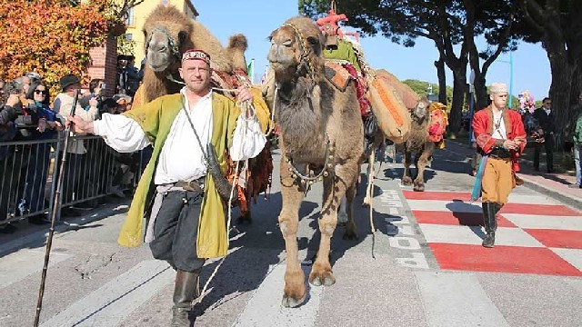 Fête du Mimosa : Grand Corso Fleuri