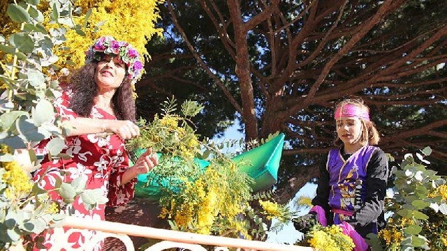 Fête du Mimosa : Grand Corso Fleuri