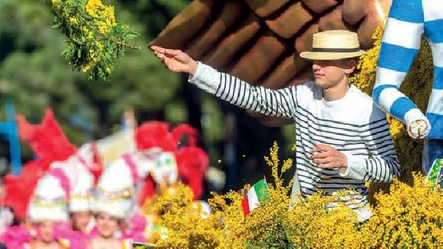 Fête du Mimosa : Grand Corso Fleuri