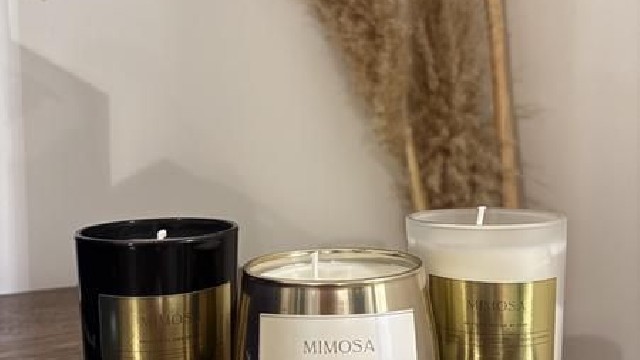 FranceEucaMimosa_Tanneron