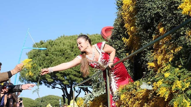 Fête du Mimosa : Grand Corso Fleuri