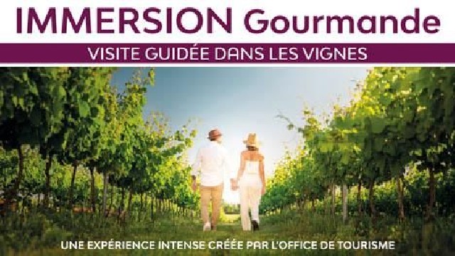 Immersion gourmande : Balade dans les vignes_Sainte-Maxime