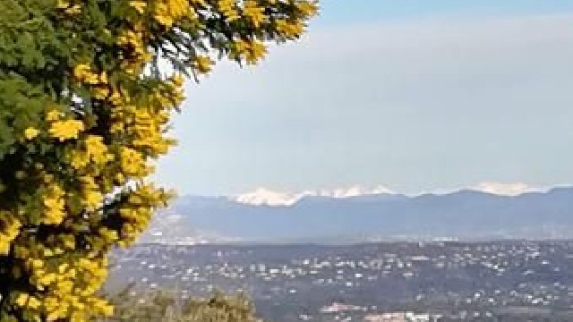 Balade guidée Tanneron