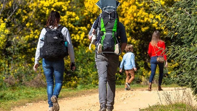 Randonnées pédestres : Au pays du mimosa