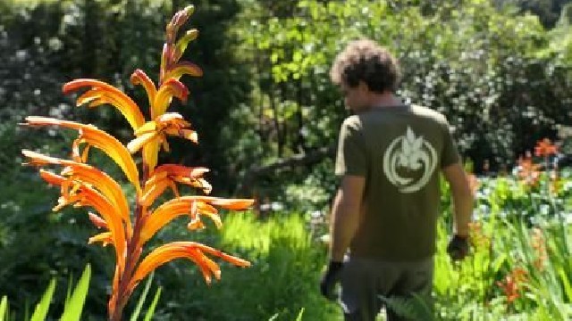 Visite thématique "La visite du jardinier"_Rayol-Canadel Sur Mer