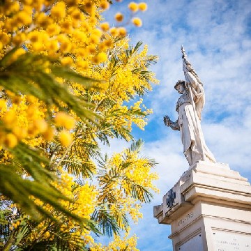 Fête du mimosa de Tanneron