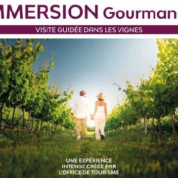 Immersion gourmande : Balade dans les vignes_Sainte-Maxime