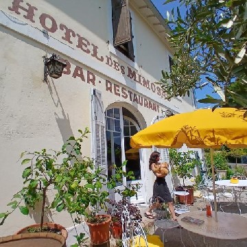 Hôtel des Mimosas