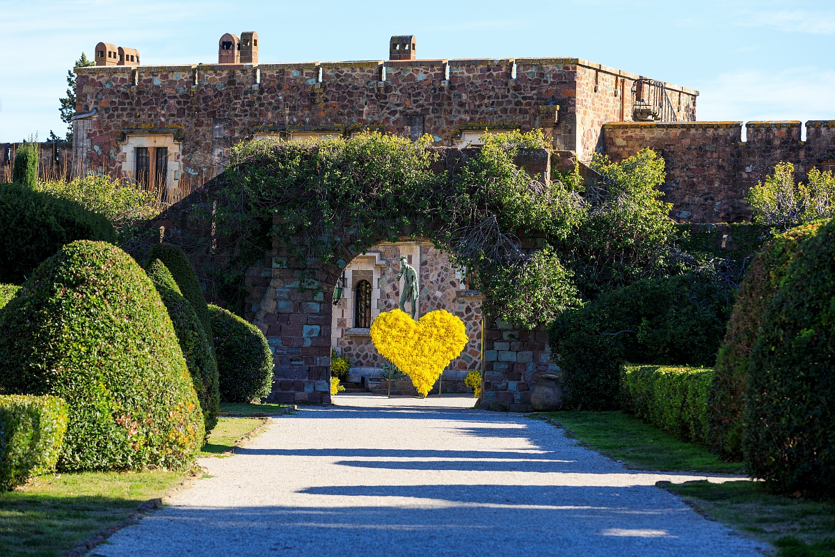 Du mimosa au Chateau de La Napoule